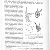 0079 - Page 75 - Analyses. Anatomie, physiologie. De l'origine exogène ou endogène des lésions du cordon postérieur étudiées comparativement dans le tabes et dans la pellegra, par M. Pierre Marie. Semaine médicale... / Les altérations des cellules nerveuses, occasionnées par l'intoxication plombique, arsénique et antimonique. Az idegsejtek elvaltozasairol...), par le Dr Charles Schaffer. Magyar Orvosi Archivum...