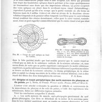 0326 - Page 322 - Analyses. Anatomie, physiologie. De l'anatomie des voies optiques au point de vue diagnostique (Om synbanans anatomi ur diagnostisk synpunks), par S. E. Henschen. Upsala läkareforemings förhand, lingor... / Origine et trajet périphérique des nerfs moteurs du pharynx et du palais, par L. Réthi... Wiener mediz. Presse...