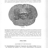 0557 - Page 553 - Travaux originaux. De la névroglie dans la moelle normale et dans la syringomyélie. Communication faite au Congrès des aliénistes et des neurologistes (Clermont-Ferrand, séance du 10 août 1894), par E. Brissaud / Analyses. Anatomie et physiologie. Contribution à l'étude de l'anatomie du ruban de Reil (Beiträge zur Anatomie der Schleife), von Dr Hüsel... Neurologisches Centralbatt...