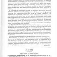 0620 - Page 616 - Travaux originaux. Notes anatomiques sur le contenu du canal sacré : cul-de-sac dural, ganglions et veines, par A. Chipault (A suivre) / Analyses. Anatomie pathologique. Résultats anatomiques de la production expérimentale de la porencéphalie chez le chien nouveau-né (Anatomische Befunde bei experimenteller Porencephalie, etc.), par G. Bikeles. Abreiten aus der Institut für Anatomie und Physiologie des Centralnervensystems an der Wiener Universität...