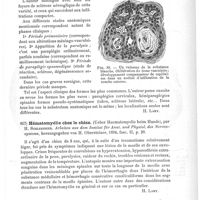 0623 - Page 619 - Analyses. Anatomie pathologique. Contribution à l'étude anatomique et clinique des paralysies spinales syphilitiques, par J. Sottas. Thèse de Paris, 1894 / Hématomyélie chez le chien (Ueber Haematomyelie beim Hunde), par H. Schlesinger. Arbeiten aus dem Institut für Anat. und Physiol. des Nervensystems... / Sur l'abcès de la moelle (Ueber Rückenmarksabscess), par H. Schlesinger. Arbeiten aus dem Institut für Anatomie und Physiologie des Centralnervensystems aus der Wiener Universität...
