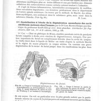 0690 - Page 686 - Analyses. Anatomie pathologique. Anatomie pathologique de la paralysie infantile (Zur pathologischen Anatomie der spinalen Kinderlähmung), par E. Siemerling. Archiv. für Psychiatrie... / Contribution à l'étude de la dégénération ascendante des nerfs cérébraux moteurs chez l'homme, par le Dr Carl Mayer (clinique psychiatrique du Professeur Krafft-Ebing)... Jahrbücher für Psychiatrie...