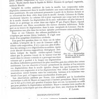 0723 - Page 719 - Analyses. Anatomie pathologique. Sur les lésions médullaires dans les cas de tumeur cérébrale, par le Dr Carl Mayer... Jahrbücher für Psychiatrie... / Neuropathologie. Sur un syndrome simulant la sclérose latérale amyotrophique chez un malade affecté de syphilis, par G. Ballet. Semaine médicale...