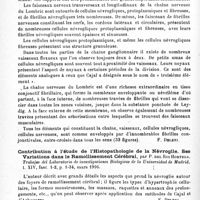 0162 - Page 150 - Analyses. Neurologie. Études générales. Histologie. Contribution à l'étude de la névroglie des invertébrés, par J. Havet... Trabajos del Laboratorio de investigaciones Biologicas de la Universidad de Madrid... / Contribution à l'étude de l'histopathologie de la névroglie. Ses variations dans le ramollissement cérébral, par P. del Rio Hortega. Trabajos del Laboratorio de investigaciones Biologicas de la Universidad de Madrid... / Altérations de la névroglie chez un lapin hyperthyroïdisé, par J.-D. Sacristan. Boletin de la Sociedad espanola de Biologia...