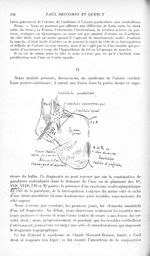 [Syndrome de Babinski-nageotte. Les troubles cérébelleux et vestibulaires. Les troubles sensitifs] - [...]