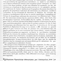 0445 - Page 427 - Analyses. Neurologie. Études spéciales. Glandes à sécrétion interne et syndromes glandulaires. L'action de l'adrénaline sur le rein, par Frank A. Hartman et Ross S. Lang. Endocrinology... / Les mécanismes vasodilatateurs sensibles à l'adrénaline, par Frank A. Hartman. Endocrinology... / Modifications vasculaires déterminées par l'adrénaline chez les vertébrés, par Frank A. Hartman, Leslie G. Kilborn and Ross S. Lang. Encocrinology...
