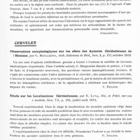 0937 - Page 911 - Analyses. Neurologie. Études spéciales. Cerveau. La paralysie brachiale-cérébrale proximale, par A. Knapps. Monatss. f. Psychiat. u. Neurol... / Cervelet. Observations morphologiques sur les effets des aplasies cérébelleuses de l'homme, par G. Mingazzini, Arch. italiennes de biol... / Etude sur les localisations cérébelleuses, par E. Luna, Riv. di Patol. nervosa e mentale... / Hémorragies cérébrale et cérébelleuse simultanées, par Jacques Lermoyez, Bull. et mém. de la Soc. anatomique de Paris...