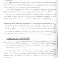 0906 - Page 836 - Analyses. Neurologie. Études générales. Anatomie. Le corpuscule carotique est-il un paraganglion ? par Milco Stefan, Thèse de Bucarest (Travail de l'Institut d'anatomie et d'embryologie. Directeur : Pr Fr. Rainer), 1928 / Cellules de Purkinje à deux noyaux dans l'idiotie amaurotique infantile (Ueber eigenartige Zweiternige Purkinje-Zellen bei der infantilen amaurotischen Idiotie), par Ramon R. Somoza. Travaux du laboratoire de recherches biologiques de l'Université de Madrid... / Anatomie pathologique. Les cellules névrogliques de Fananas dans la paralysie juvénile (Die Fananas 'schen Gliazellen bei der juvenilen Paralyse), par Ramon R. Somoza. Travaux du laboratoire de recherches biologiques de l'Université de Madrid... / Etude histopathologique du foie dans un cas d'athétose (Sul reperto istopatologico del fegato in un caso di atetosi), par Umberto De Giacomo. Policlinico (sezione medica)...