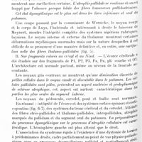 1018 - Page 948 - Xe Réunion neurologique internationale annuelle. 3-6 juin 1929. Séance du mardi 4 juin (matin). Etude anatomo-clinique d'un cas de syndrome rigide, avec spasme de torsion, par MM. Laruelle et Van Bogaert / Sur la pathogénie des crampes fonctionnelles, par M. Fedele Negro...