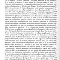 1204 - Page 1150 - Société de neurologie de Paris. Séance du jeudi 5 juin 1930. Sur la présence de cellules sensitives dans les racines antérieures de la moelle épinière, par M. Mario Piolti... / Lésion persistante des 3es, 4es, 5es et 6es racines sacrées consécutives à une rachianesthésie, par M. J. Boisseau...