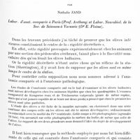 0433 - Page 375 - Mémoires originaux. Les olives inférieures, centre du tonus musculaire des muscles antigravidiques, par Nathalie Zand. Labor. d'anat. comparée à Paris (Prof. Anthony) et labor. neurobiol. de la Soc. de sciences à Varsovie (Dr E. Flatau)
