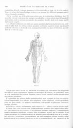 Fig. 1. [Sur un cas de myasthénie avec signes d'atteinte protubérantielle. Aggravation au cours de g [...]