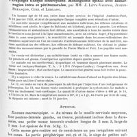 0145 - Page 89 - Société de neurologie de Paris. Séance du 6 juillet 1933. Communications. La neurolymphomatose périphérique chez l'homme, par MM. J. Lhermitte et J. O. Trelles. (Travail du laboratoire de la fondation Dejerine) / Paraplégie flasque foudroyante. Méningiome spinal avec hémorragies intra et péritumorales, par MM. J. Lévy-Valensi, Justin-Bezançon, Cuel et Leblanc