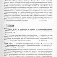 0181 - Page 129 - Analyses. Neurologie. Études générales. Bibliographie. Aubanel (Jean). Contribution à l'étude du traitement des paralysies diphtériques (Thèse Marseille, 1935...) / Colonna (S.). La tabo-paralysie. Thèse Marseille, 1935... / Anatomie. Boissezon (P. de). La trifurcation carotidienne et le corpuscule intercarotidien du cheval. Ann. d'anat. path. et d'anat. norm. méd.-chir... / Bolsi (Dino). Le problème de l'origine de la microglie (Il problema della origine della microglia). Rivista di Patologia nervosa e mentale...
