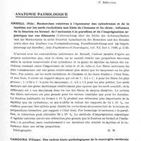 0585 - Page 537 - Analyses. Neurologie. Études générales. Anatomie. Spiegel et Hunsicker. Trajet des excitations corticales aux différents systèmes neuro-végétatifs autonomes in Journal of Nervous and Mental Diseases... / Anatomie pathologique. Arnell (Nils). Recherches relatives à l'épaisseur des cylindraxes et de la myéline sur les nerfs rachidiens non fixés de l'homme et du chien ; influence de la fixation au formol, de l'inclusion à la paraffine et de l'imprégnation argentique sur ces éléments (Untersuchung über die Dicke des Achsenzylinders und der Markscheide in nicht fixierten Spinalnerven des Menschen und des Hundes sowie über den Einfluss von Formalinfixierung, Paraffineinbettung und Ag-Imprägnierung auf dieselbe). Acta Psychiatrica el Neurologica... / Cardona (Filippo). Des cadres histo-pathologiques de la macroglie cérébrale humaine (Sui quadri isto-patologici della macroglia cerebrale umana). Rivista di Patologia nervosa e mentale...