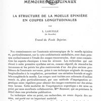 0743 - Page 695 - Mémoires originaux. La structure de la moelle épinière en coupes longitudinales, par L. Laruelle... Travail du Fonds Dejerine