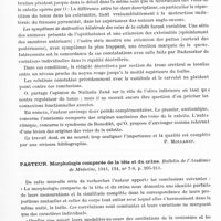 0321 - Page 279 - Analyses. Neurologie. Études générales. Anatomie. Ogawa (T.). Recherches expérimentales sur la bandelette longitudinale postérieure et le faisceau central de la calotte chez le chat. Contribution à la connaissance du système extrapyramidal du tronc cérébral, avec quelques remarques sur le mécanisme de formation de la rigidité décérébrée (Experimentelle Untersuchungen über die médiale und zentrale Haubenbahn bei der Katze. Ein Beitrag zur Kenntniss des extrapyramidalen Systems im Hirnstamm, nebst einigen Bemerkungen uber den Entstehungsmechanismus der Enthirnungsstarre). Archiv für Psychiatrie und Nervenkrankheiten... / Pasteur. Morphologie comparée de la tête et du crâne. Bulletin de l'Académie de médecine...