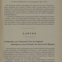 0037 - Page 33 - Larynx