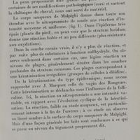 0021 - Page 15 - Kératinisation molle (épiderme) / Kératinisation dure (phanères)