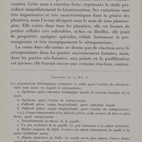 0022 - Page 16 - Légende de la Fig. 1