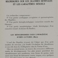 0032 - Page 26 - Recherches sur les glandes génitales et les caractères sexuels. Les mitochondries dans l'ovogénèse d'Emys lutaria (mars)