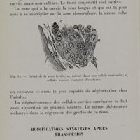 0048 - Page 42 - Modifications sanguines après transfusion