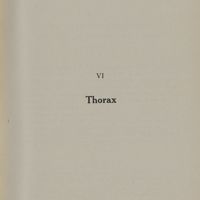 0129 - Page 135 - VI. Thorax
