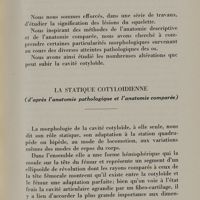 0143 - Page 149 - La statique cotyloïdienne (d'après l'anatomie pathologique et l'anatomie comparée)