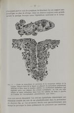 Fig. 6. - Chute du syncytium de grossesse de la muqueuse utérine de la lapine - Titres et travaux sc [...]