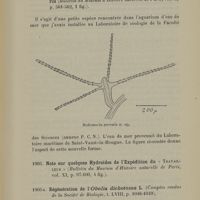 0021 - Page 19 - Halermita parvula, nouvelle espèce d'Hydroïde marin / Note sur quelques Hydroïdes de l'Expédition du "Travailleur" / Régénération de l'Obelia dichotoma L.