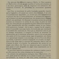 0024 - Page 22 - Les mouvements spontanés et provoqués chez les Hydroïdes II. Clava squamata, Hydractinia echinata, Cladonema radiatum