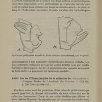 0032 - Page 30 - Sur les Plumulariidae de la collection du "Challenger"