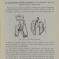 0018 - Page 15 - Anatomie