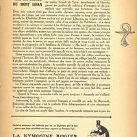 0019 - Page 5 - Vers les cèdres du Mont Liban