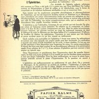 0058 - Page 8 - Revue thérapeutique. L’Éphédrine