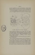 Fig. 130. Transmission de l'Acatène "Métropole" - La bicyclette. Sa construction et sa forme