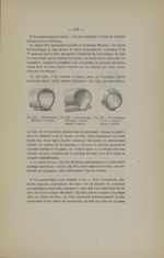 Fig. 163. Pneumatique "Michelin" à talons / Fig. 164. Pneumatique "Clincher" antidérapant, à talons  [...]