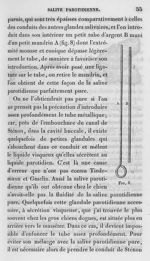 Fig. 8. Tube d'argent muni d'un petit mandrin à l'extrémité mousse et conique [introduction dans la  [...]