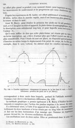 Fig. 158. Courbes supérieures : changement de hauteur de la tête dans le saut. Courbes inférieures : [...]