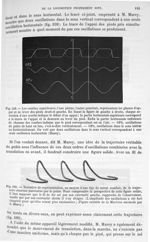 Fig. 159. Courbes représentant les phases d'appuis et de lever des pieds droit et gauche/ Fig. 160.  [...]