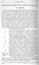 Fig. 166. Empreintes des pieds dans la marche - Traité de physique biologique. Tome premier