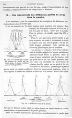 Fig. 170. Un double pas/ Fig. 171. Différents temps de la marche - Traité de physique biologique. To [...]