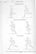 Fig. 174. Figures demi-schématiques de six positions successives d'un double pas dans la course - Tr [...]