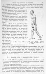 Fig. 179. Marche à reculons - Traité de physique biologique. Tome premier