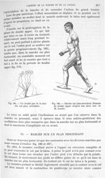 Fig. 184. Un double pas de la marche sur un plan ascendant/ Fig. 185. Marche sur un plan ascendant.  [...]