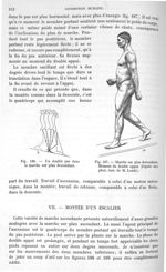 Fig. 186. Un double pas dans la marche sur plan descendant/ Fig. 187. Marche sur un plan descendant. [...]