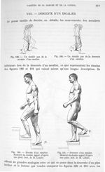 Fig. 188. Un double pas de la montée d'un escalier/ Fig. 189. Un double pas de la descente d'un esca [...]