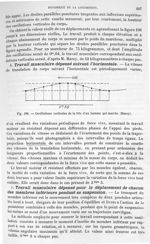 Fig. 196. Oscillations verticales de la tête d'un homme qui marche - Traité de physique biologique.  [...]