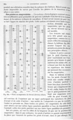 Fig. 205. Pistes ou empreintes du cheval à diverses allures - Traité de physique biologique. Tome pr [...]