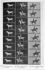 Fig. 209. Cheval au pas; un demi-pas/ Fig. 210. Cheval au trot; un demi-pas/ Fig. 211. Cheval au gal [...]